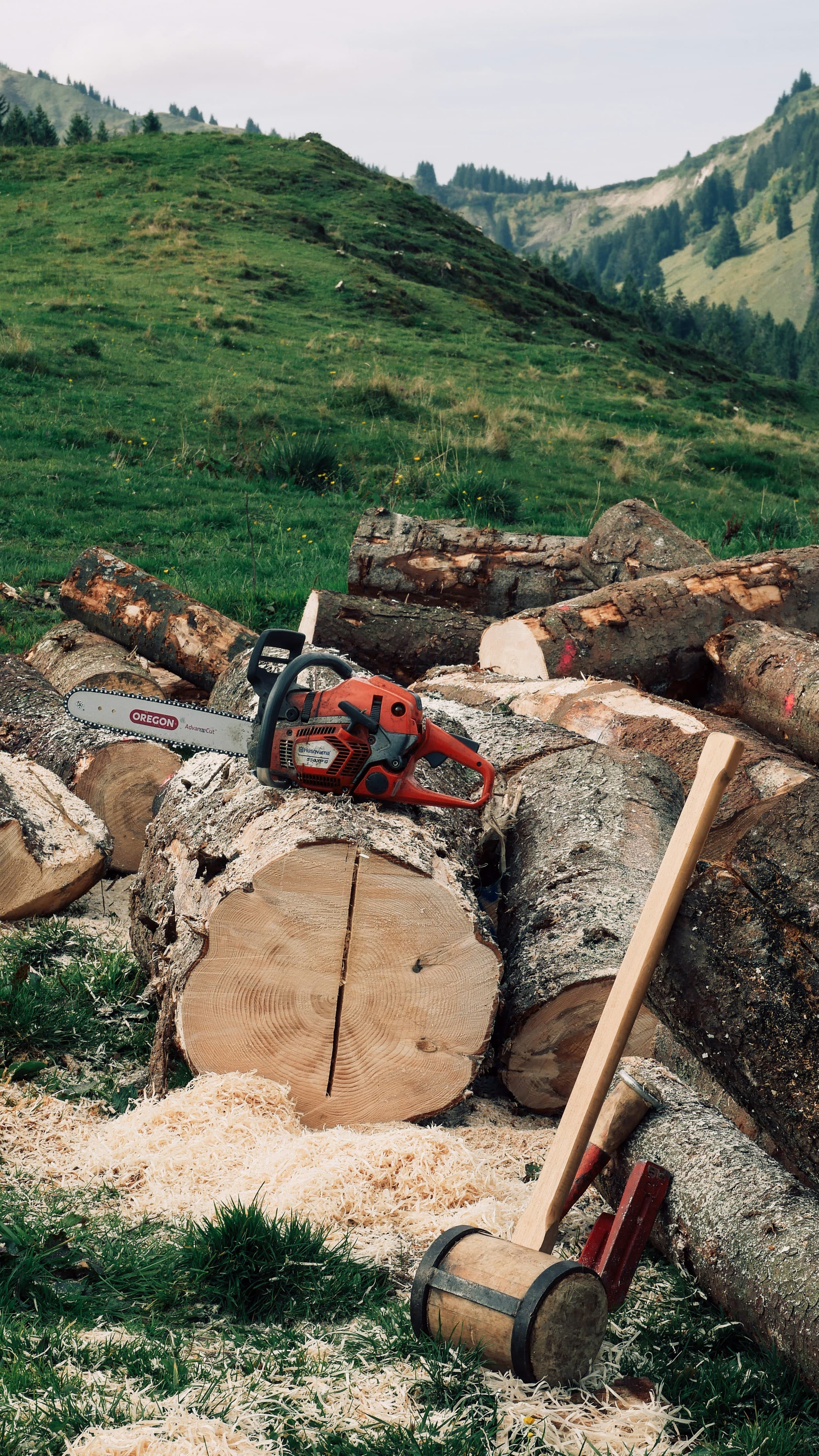 Commercial Tree Cutting