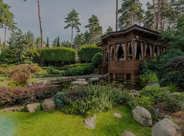 Backyard Oasis