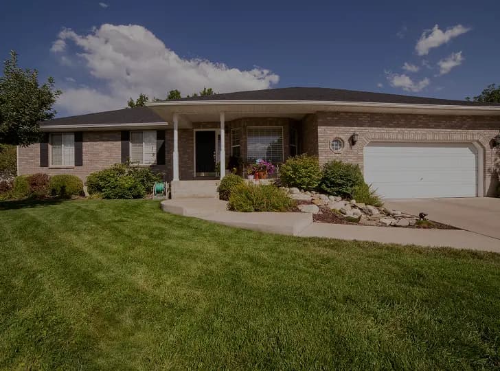 Front Lawn Makeover