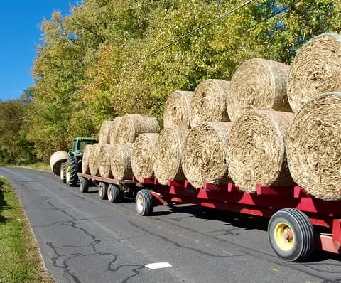 Brush & Debris Removal