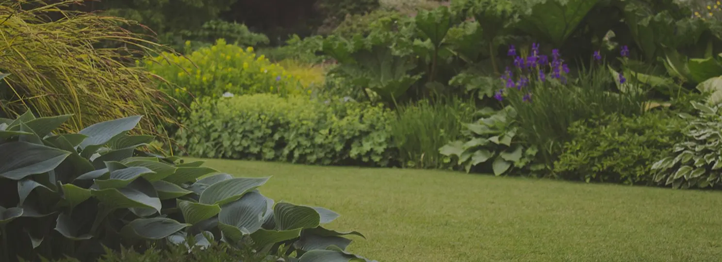 Landscaping service background